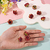 10Pcs Preserved Rose Pendants KY-TA0001-59C-6