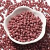 Picasso Baking Paint Glass Seed Beads X1-SEED-A032-02A-06-2