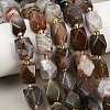 Natural Botswana Agate Beads Strands G-P611-B01-01-2