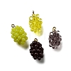 Grape Brass Acrylic Pendants OACR-R006-05G-01-1