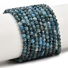 Natural Apatite Beads Strands G-P612-C-3mm-02-2
