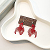 Baking Paint Iron Dangle Earrings WGA271E-03-1