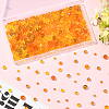 900Pcs 9 Colors Thanksgiving Day Theme Glass Beads Strands EGLA-SP0001-36-7
