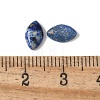 Natural Lapis Lazuli Cabochons G-Z075-05C-3