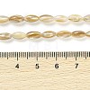 Natural Freshwater Shell Beads Strands X-BSHE-G036-03-4