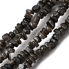 Natural Freshwater Shell Beads SHEL-B003-01J-1