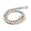 Natural Rainbow Alashan Agate Beads Strands G-NH0022-N01-01-3