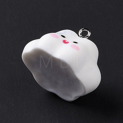 Opaque Resin Pendants RESI-D063-03A-1