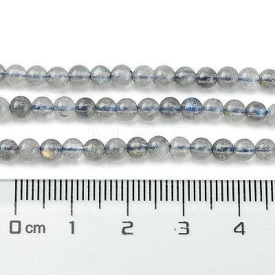 Natural Labradorite Beads Strands G-Z034-B04-03-1