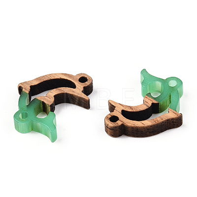 Opaque Resin & Walnut Wood Connector Charms RESI-N039-46E-1