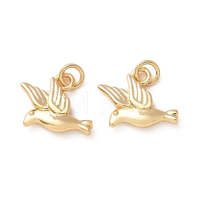 Brass Pendants KK-H297-06G-1