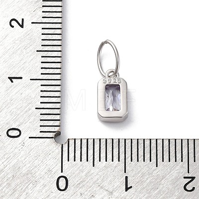 925 Sterling Silver Cubic Zirconia Charms STER-NH0014-01P-12-1