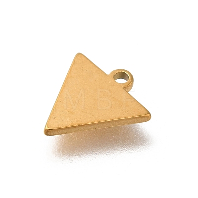 304 Stainless Steel Charms STAS-S144-01G-D-1