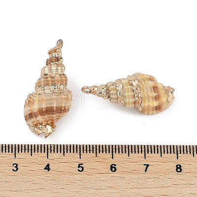 Natural Shell Pendants SHEL-K009-01B-1