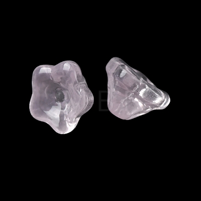 Baking Paint Transparent Glass Beads GLAA-T025-81C-09-1