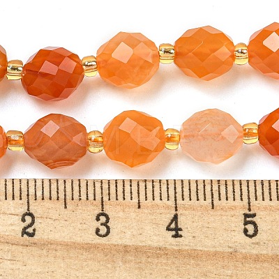 Natural Orange Botswana Agate Beads Strands G-N342-45-1