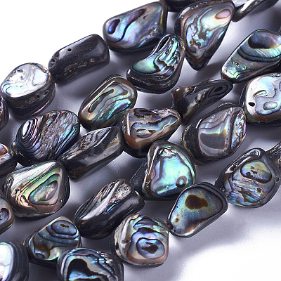 1 Strand Natural Abalone Shell/Paua Shell Beads Strands SSHEL-PA0001-03-1