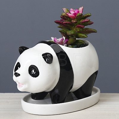 Cute Panda Succulent Planter Pots PW22053089103-1