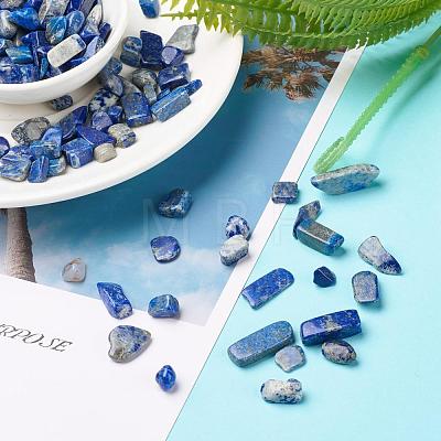 Natural Lapis Lazuli Beads G-F710-09-1