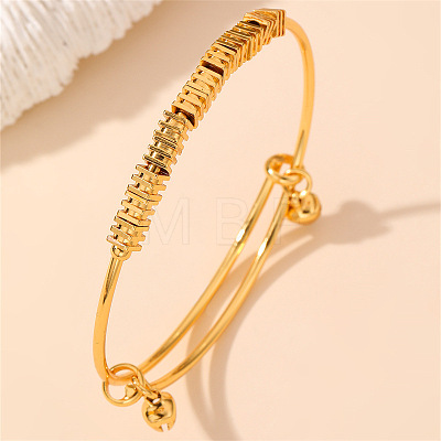 Adjustable Brass Charm Bangles WGD0058-04-1