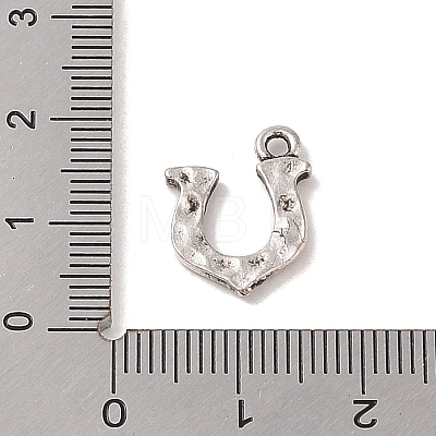 Tibetan Style Alloy Charms TIBE-Q090-29AS-1