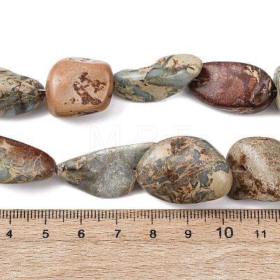 Natural Shoushan Stone Beads Strands G-D098-C05-1