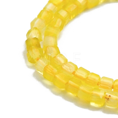 Natural Yellow Agate Bead Strands G-P457-B01-48-1