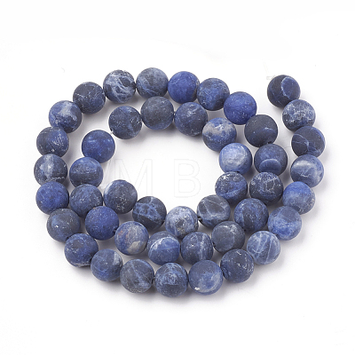 Natural Sodalite Beads Strands G-T106-055-1