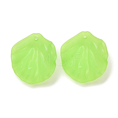 Frosted Acrylic Pendants AC-CBA1E6C-01A-1