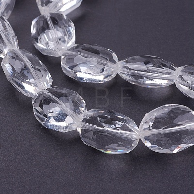 Glass Bead Strands X-GLAA-S003-16x13mm-14-1