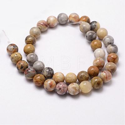 Natural Crazy Agate Beads Strands G-D840-70-10mm-1