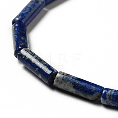 Natural Lapis Lazuli Beads Strands G-I326-05A-1