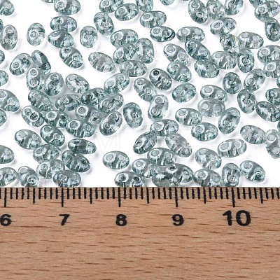 Transparent Czech Glass Seed Beads SEED-N004-005-C05-1