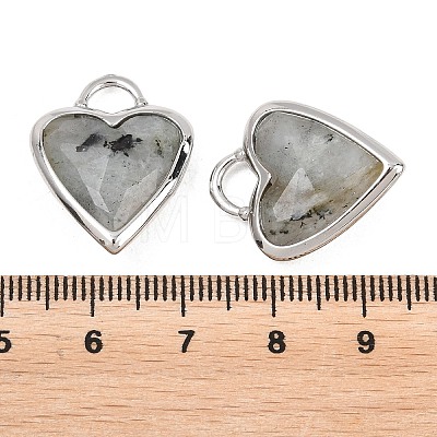 Natural Labradorite Faceted Pendants G-Z154-01P-07-1