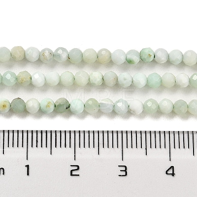 Natural Green Opal Beads Strands G-Z035-A02-02B-1