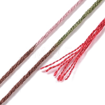 10 Skeins 6-Ply Polyester Embroidery Floss OCOR-K006-A17-1
