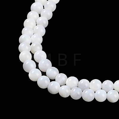 Natural Cultured Freshwater Shell Beads Strands X-BSHE-H109-03A-1