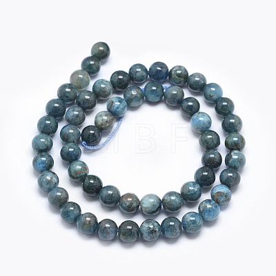 Natural Apatite Beads G-E481-05-10mm-1