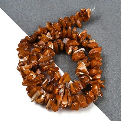 Natural Shell Beads Strands SHEL-K009-10-1