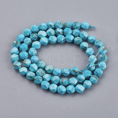 Dyed Natural Howlite Beads Strands TURQ-F010-12B-1