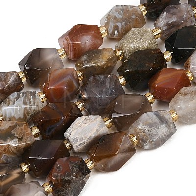 Natural Botswana Agate Beads Strands G-P611-B01-01-1