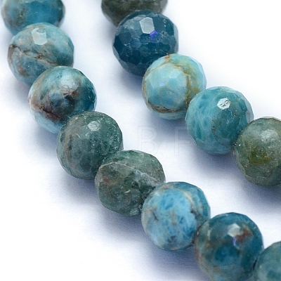Natural Apatite Beads Strands G-I279-E22-01-1