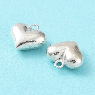 925 Sterling Silver Charms STER-H106-01B-S-1