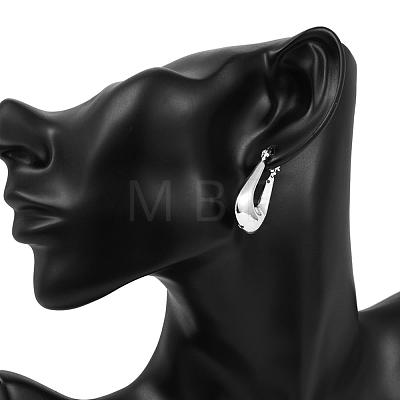 Luxury Brass Hoop Earrings EJEW-BB10512-1