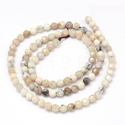 Faceted Round Natural White African Opal Beads Strands G-P114-12-4mm-1
