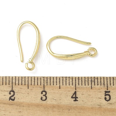 Brass Earring Hooks KK-A236-13G-1