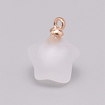 Resin Frosted Pendants MP-TAC0009-03G-1