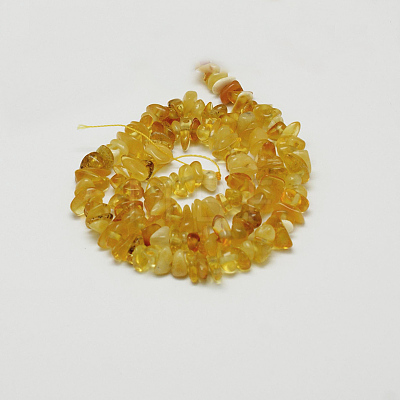 Natural Amber Chip Beads Strands G-E333-01A-1