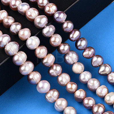 Natural Cultured Freshwater Pearl Beads Strands PEAR-N013-06T-1