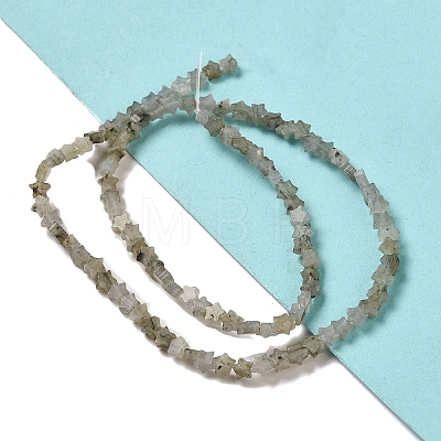 Natural Labradorite Beads Strands G-G085-B25-01-1